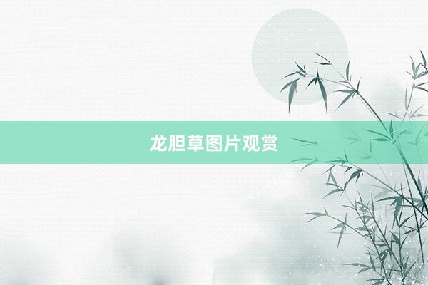 龙胆草图片观赏