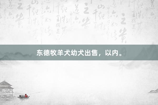 东德牧羊犬幼犬出售，以内。