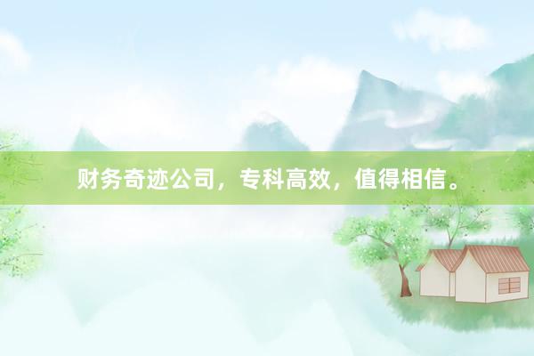 财务奇迹公司，专科高效，值得相信。
