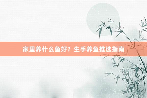 家里养什么鱼好？生手养鱼推选指南